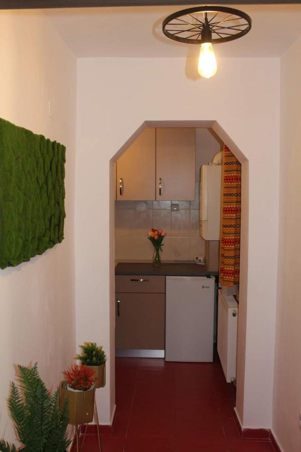 Apartament Dania & Petru Leilighet Tîrgu Ocna Eksteriør bilde