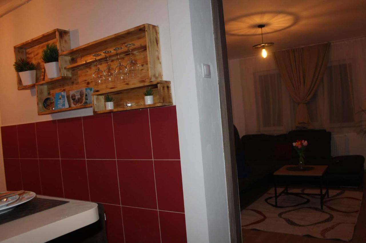 Apartament Dania & Petru Leilighet Tîrgu Ocna Eksteriør bilde